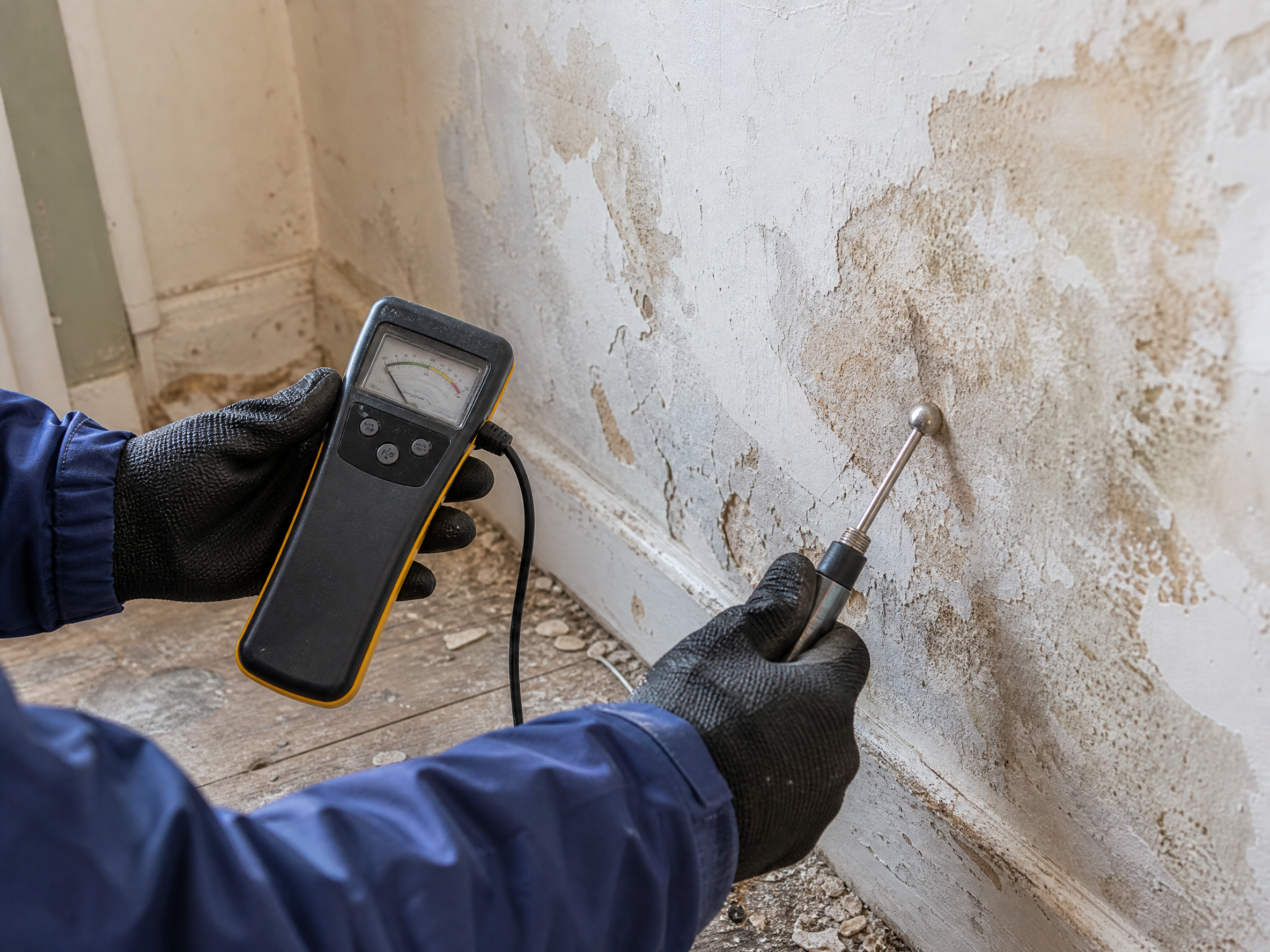 Professional installer carrying out damp survey in a UK residential property