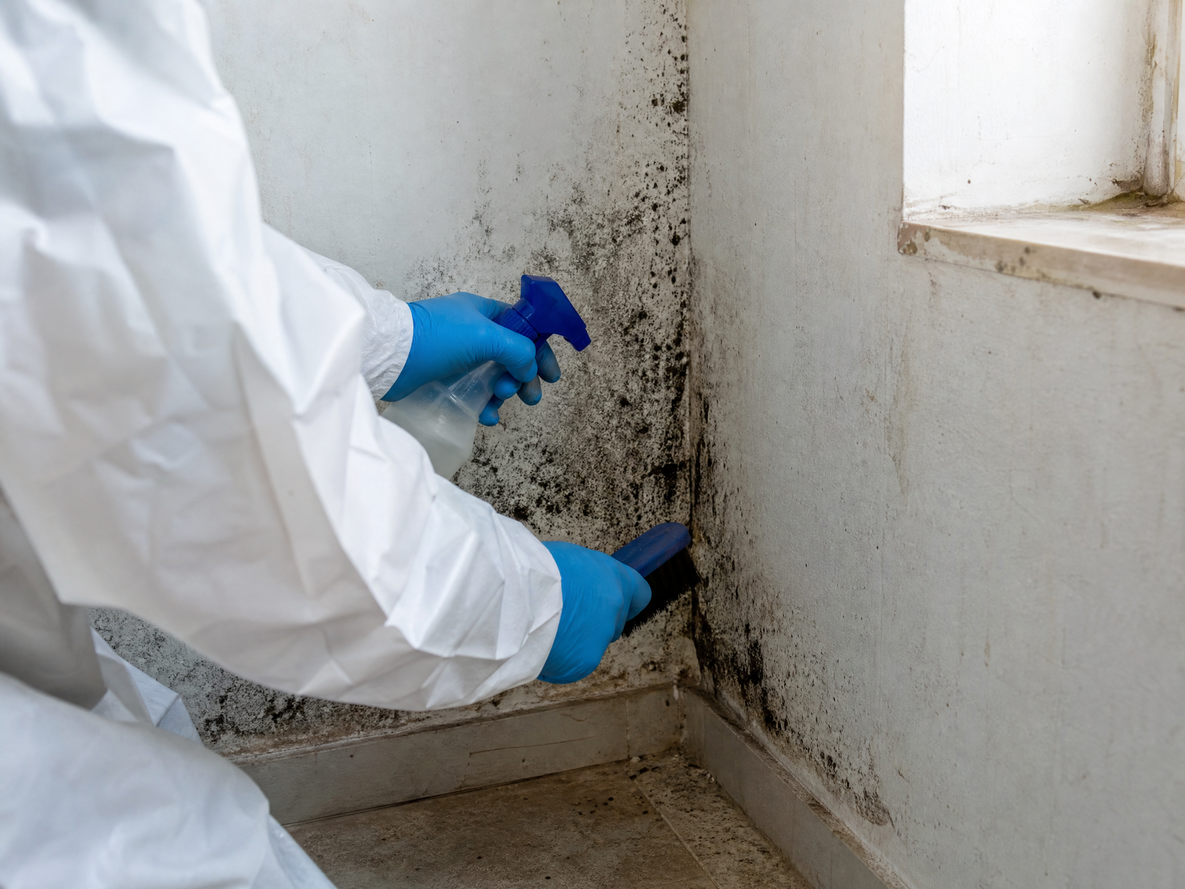Professional installer carrying out black mould removal and treatment in a UK residential property